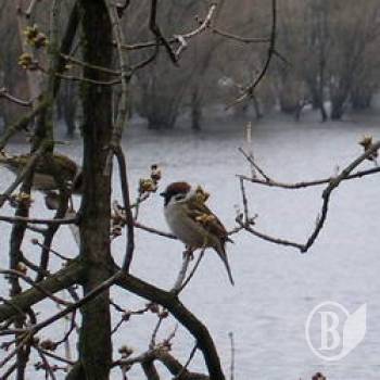 ��������������� �������� �������� ������������ ������ ����� �������