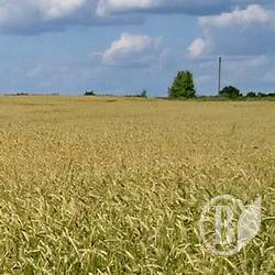 �� ������ � ����� � ���������� ����?