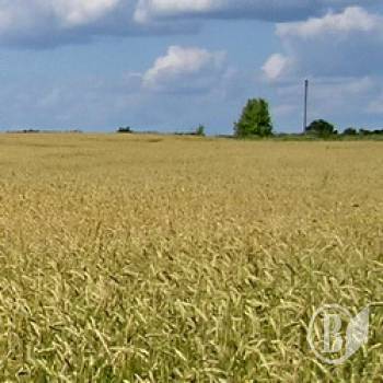 ����� �� � ������ � ��������� ����?