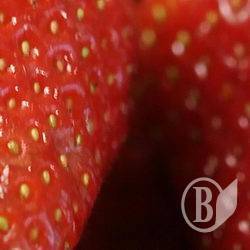 ��������� ��-����������. ����