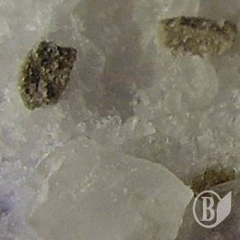 ����� �� ����! � �� �� ���������