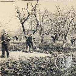 ��������� ��������������� �������� ���� ������� ���������