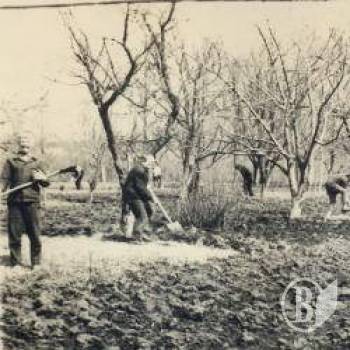 ���������� ��������������� ��������� ���� ������ ���������