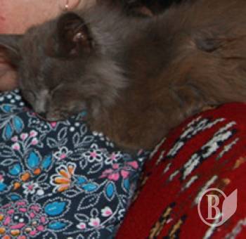 ����� �����