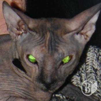 ����� ����� � ����� �������