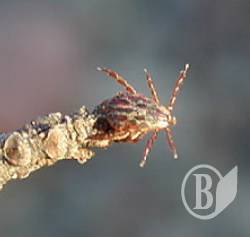 ��������: ���!