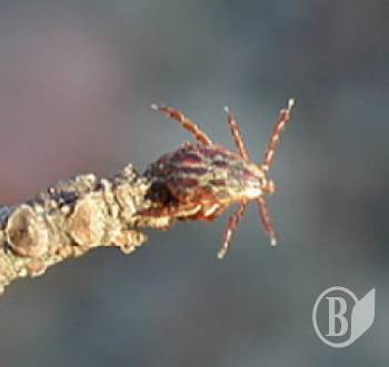 ��������: ���!