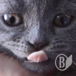 ����� ����� � ����� �������