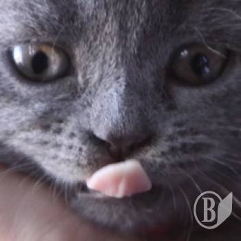 ����� ����� � ����� �������