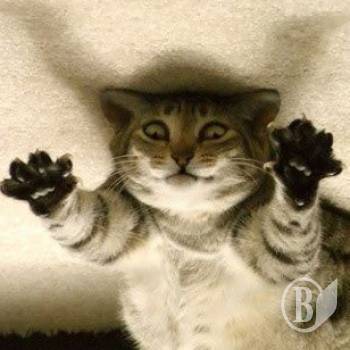 ����� ����� � ����� �������