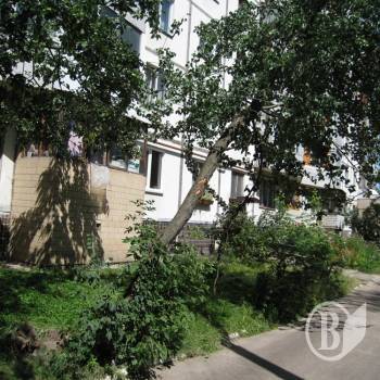 ������� ������. ��������