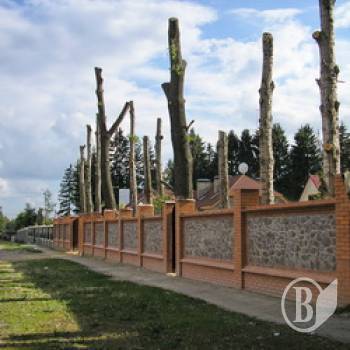 ����������� ��������� ��������� � ������������ ��