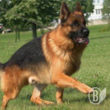 ���������� ������� � ���� � ������. ���������� � ����