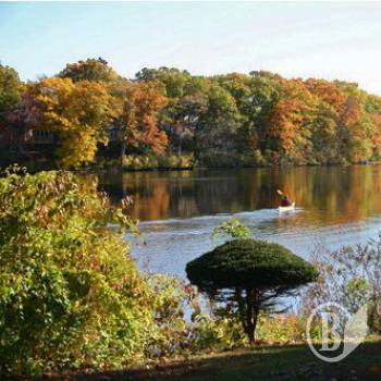 �������� ���! � - � ������腻