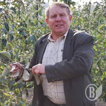 ������������ ��� � ��������