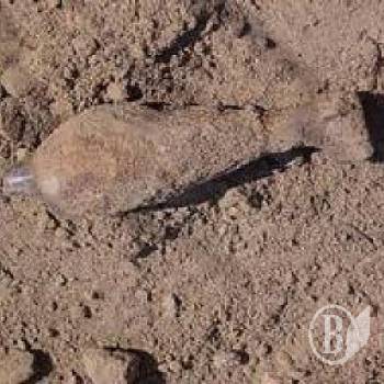 ������ � ��� ���� ������ ����� ���������� �� ������������