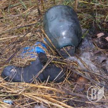 ��������� �����: �� ������?