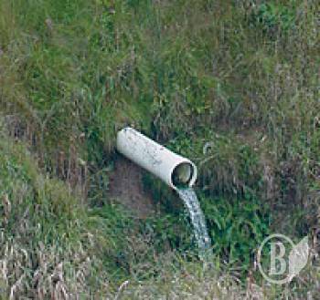 �������� ��� ����������� ��������. �� ���������