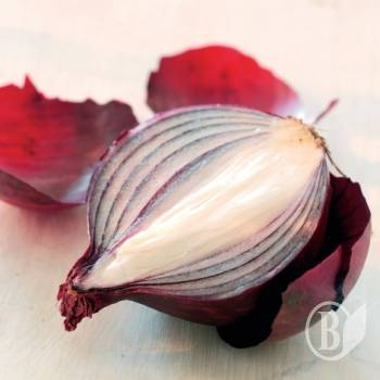 ����� 120 ����� ����������� ������ ������� �� ����� �������� 2009 ����