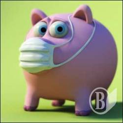 � �������� ������������� ���� �������� �� 25,5%