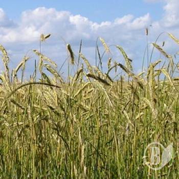 �������� �������: ������������ �� ���� ��������� ��������