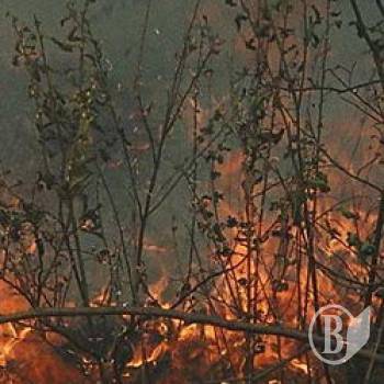 � �������������� ������� ��������� �������� � ������� ��������