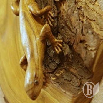 �������� ���������� ������� � ���-����. ������������