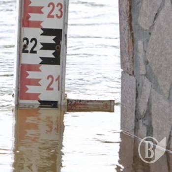 ���� ��������� ��������� �� ������� ������