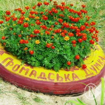 ������� ������� ������ ��������: ���������� ���������� �������� �� ������ ��� �����!