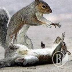 �� � �����: ������� ������ ������ ���������