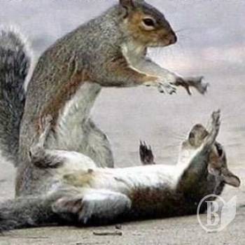 �� � �����: ������� ������ ������ ���������