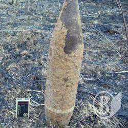 ������ ���� ���� ����������� �������� ���������