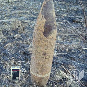 ������ ���� ���� ����������� �������� ���������