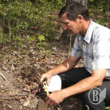 ��������� �������� �� �������� ���������� ����