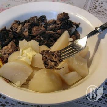 ������ ������� ������� �� �����������