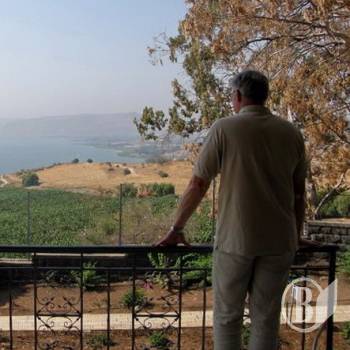 ���� ���������