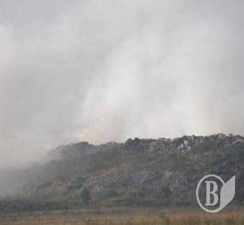 ϳ� ���������� � ����� ����� 5 ����� �����