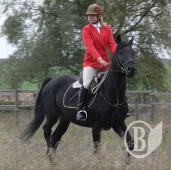 ������-��������� �����-���������� ����� ������� ��� ����������