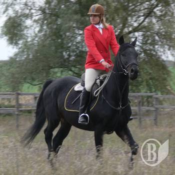 ������-������� ����-��������� ����� ������� �� ����������. ����