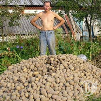 ��������� ������ �� ����������� ��������� �� 24 ������ � ����