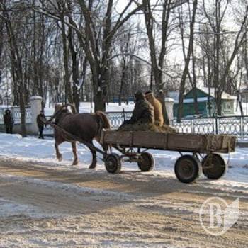 �������� �� ����� ������ �� ��