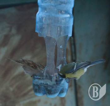  �������� ������� � �������� ������� �������! ������������