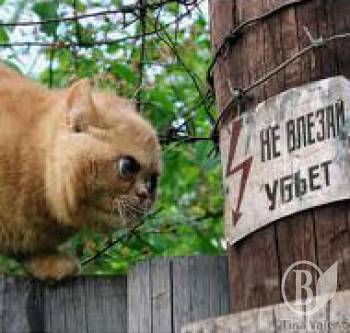  ���������� ���������  ������ � ��������