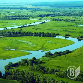 ������ ����� ������ � �� ����������� ��� ������ �������