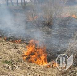 ������ �����, ���� ����� �� ���