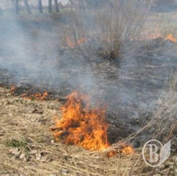 ������ �����, ���� ����� �� ���