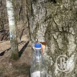 �������� ���������� ������������ ����� ������������ ��� ����������� ��