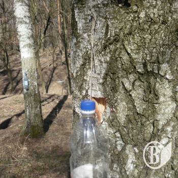 �������� ���������� ������������ ����� ������������ ��� ����������� ��