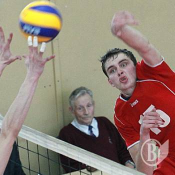 �������: ��������� - ��������� - 1:3. ������������