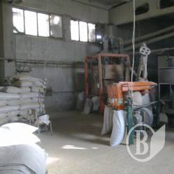 ����� �������� �������� �������